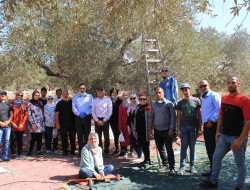 فعاليات سلطة الطاقة   الاحتفال باليوم الوطني للمرأة الفلسطينية
