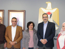 الرخص المؤقتة لتوليد الطاقة الكهربائية