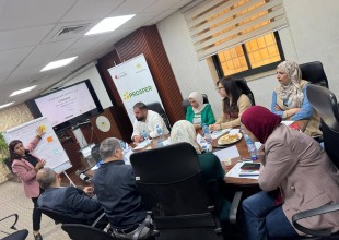 سلطة الطاقة تنفذ سلسلة لقاءات تدريبية حول إدماج النوع الاجتماعي بالتعاون مع مشروع PROSPER.